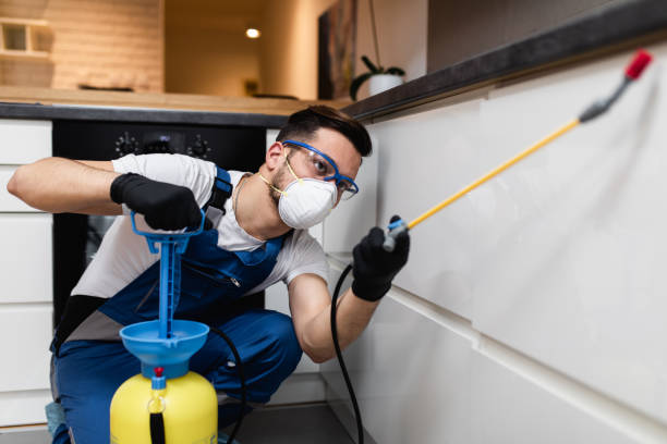 Best Wasp Removal Services  in Brookside, AL
