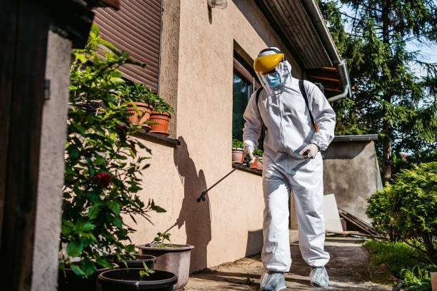 Best Pest Removal Services  in Brookside, AL