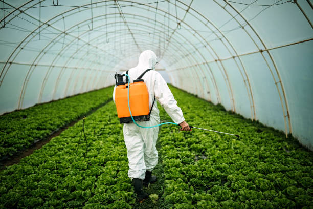 Best Commercial Pest Control Services  in Brookside, AL