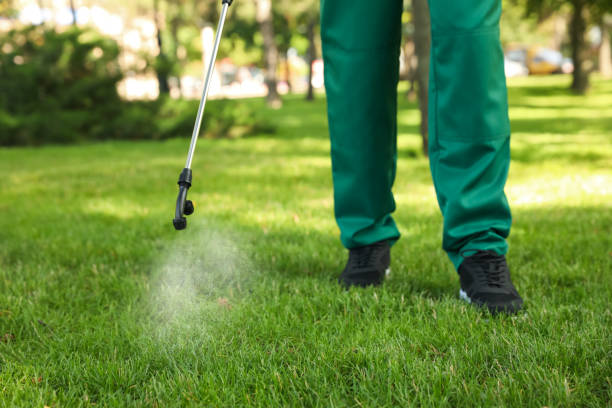 Best Bed Bug Extermination  in Brookside, AL