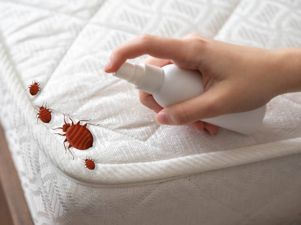 Best Affordable Pest Control Services  in Brookside, AL