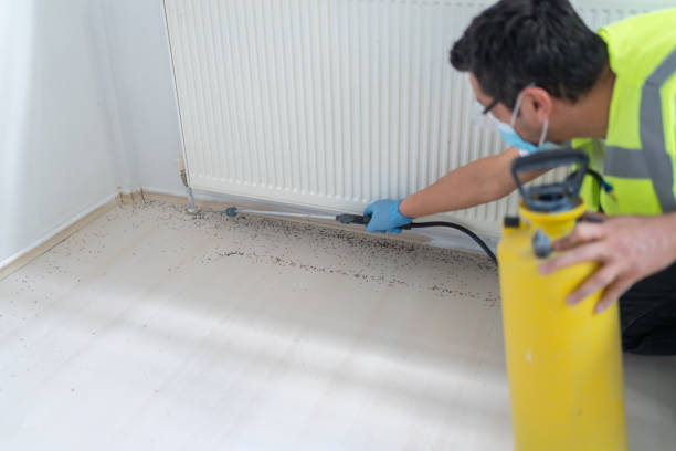 Best Flea Control Services  in Brookside, AL