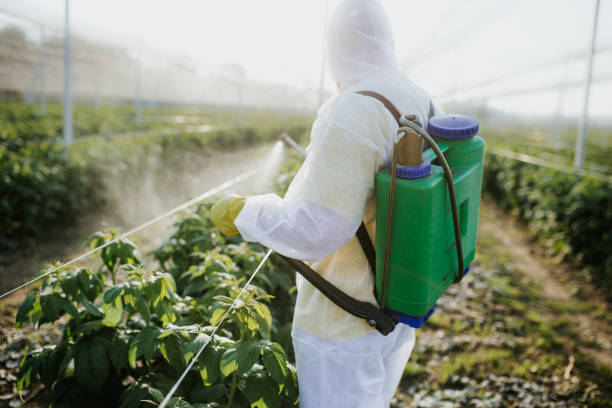 Best Mosquito Control Services  in Brookside, AL